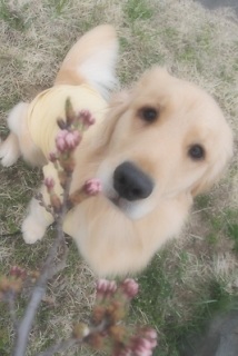 4/22