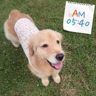 6/28
