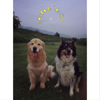 7/30