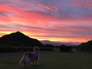 8/26