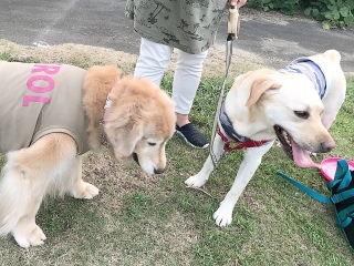07/20