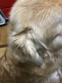 11/02