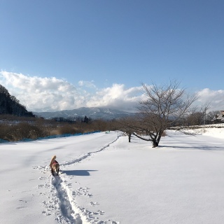 02/01