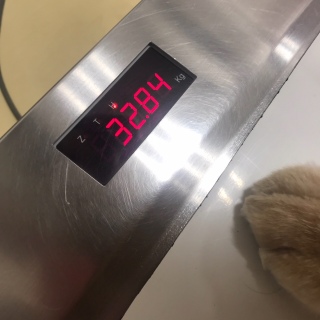 06/01