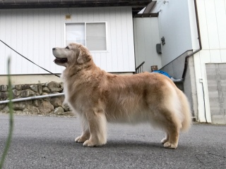 06/12