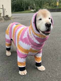 10/09