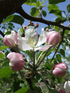 05/08